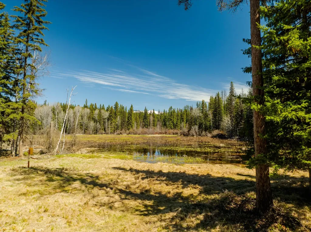 675 Beaver Lake Road Whitefish MT 59937