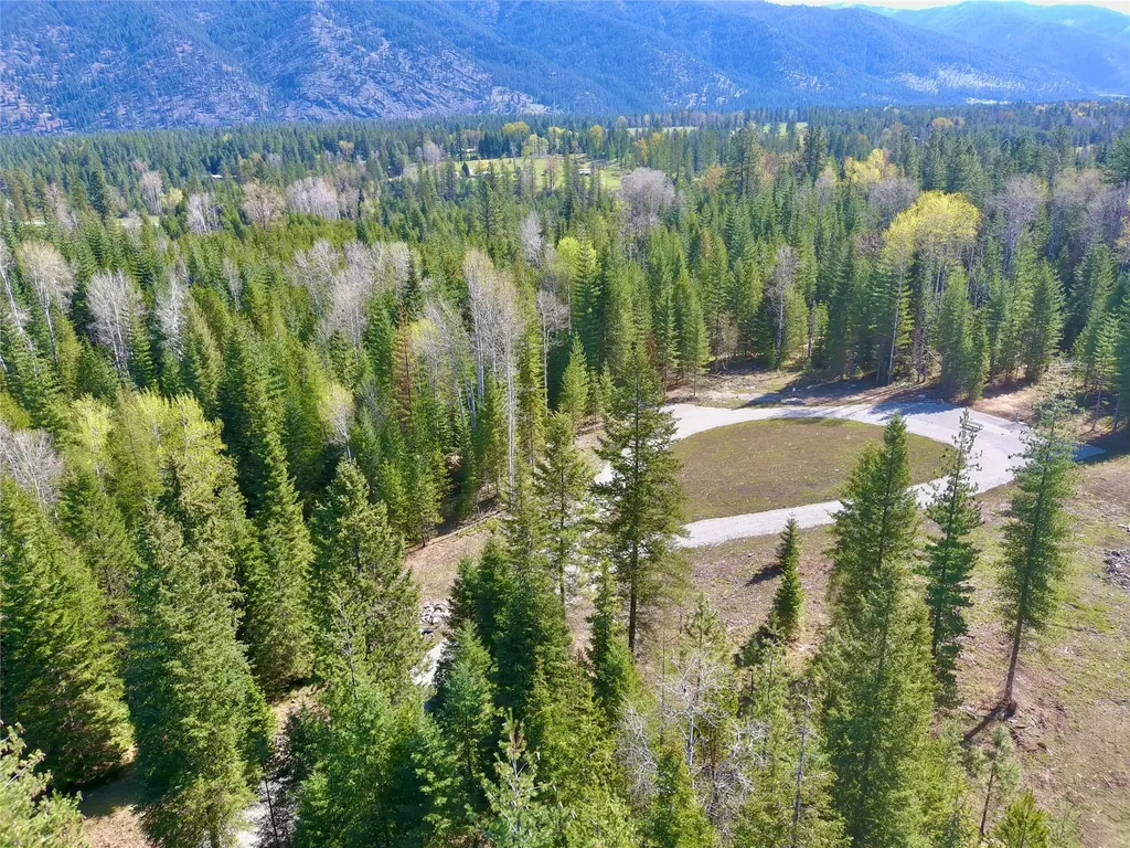 7 Hidden Meadows Way Trout Creek MT 59874