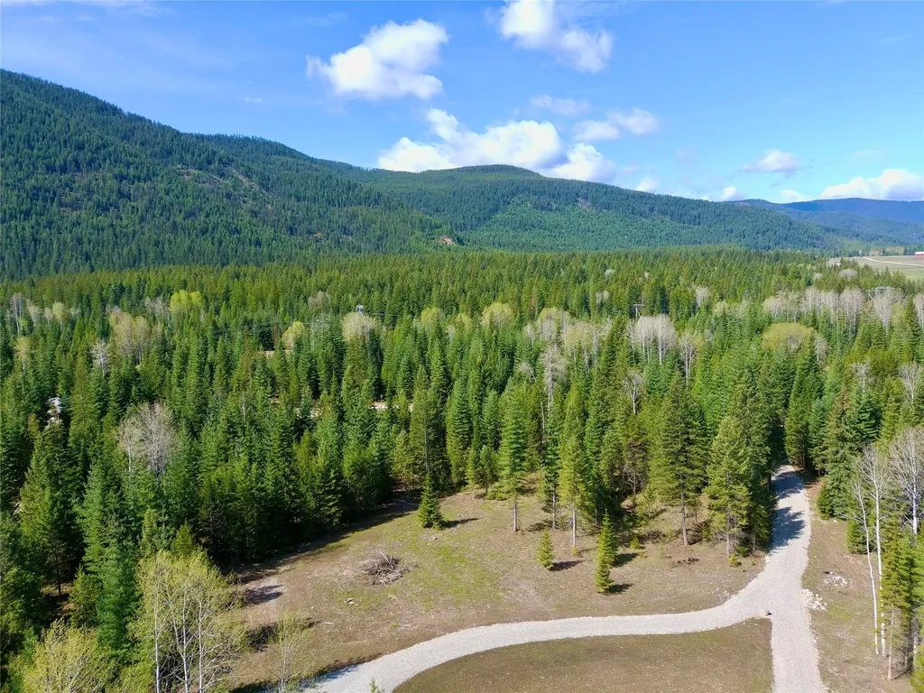 7 Hidden Meadows Way Trout Creek MT 59874