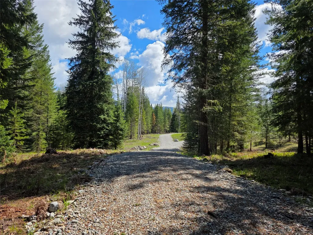 7 Hidden Meadows Way Trout Creek MT 59874