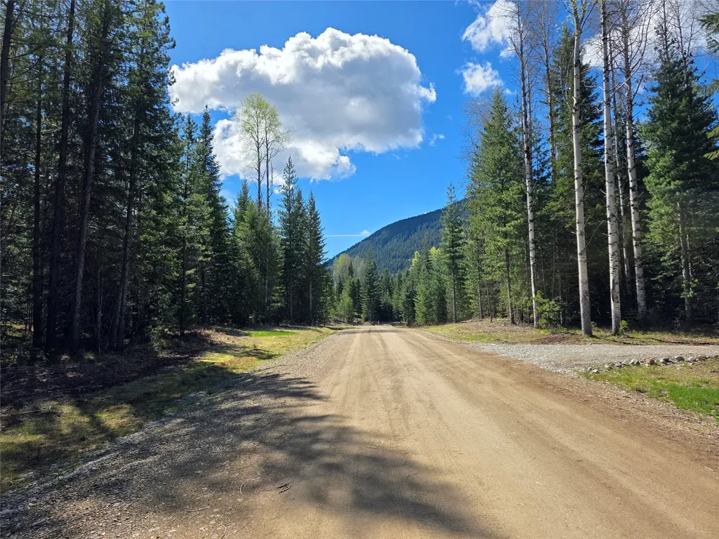 7 Hidden Meadows Way Trout Creek MT 59874