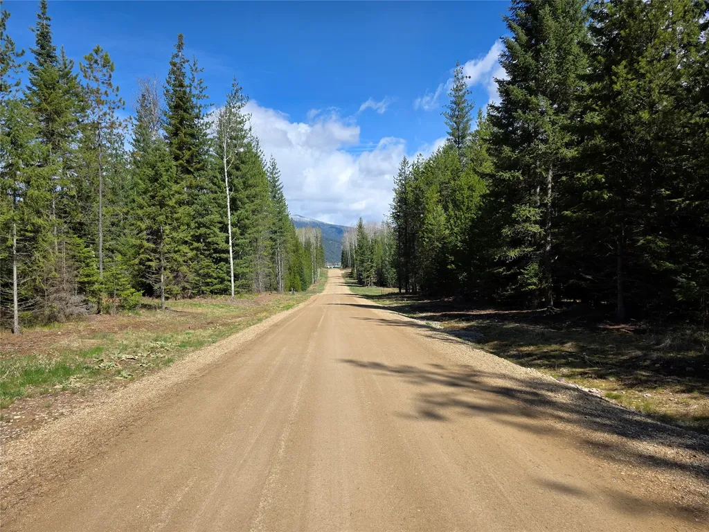 7 Hidden Meadows Way Trout Creek MT 59874