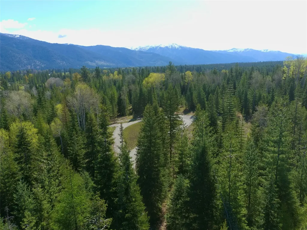 7 Hidden Meadows Way Trout Creek MT 59874