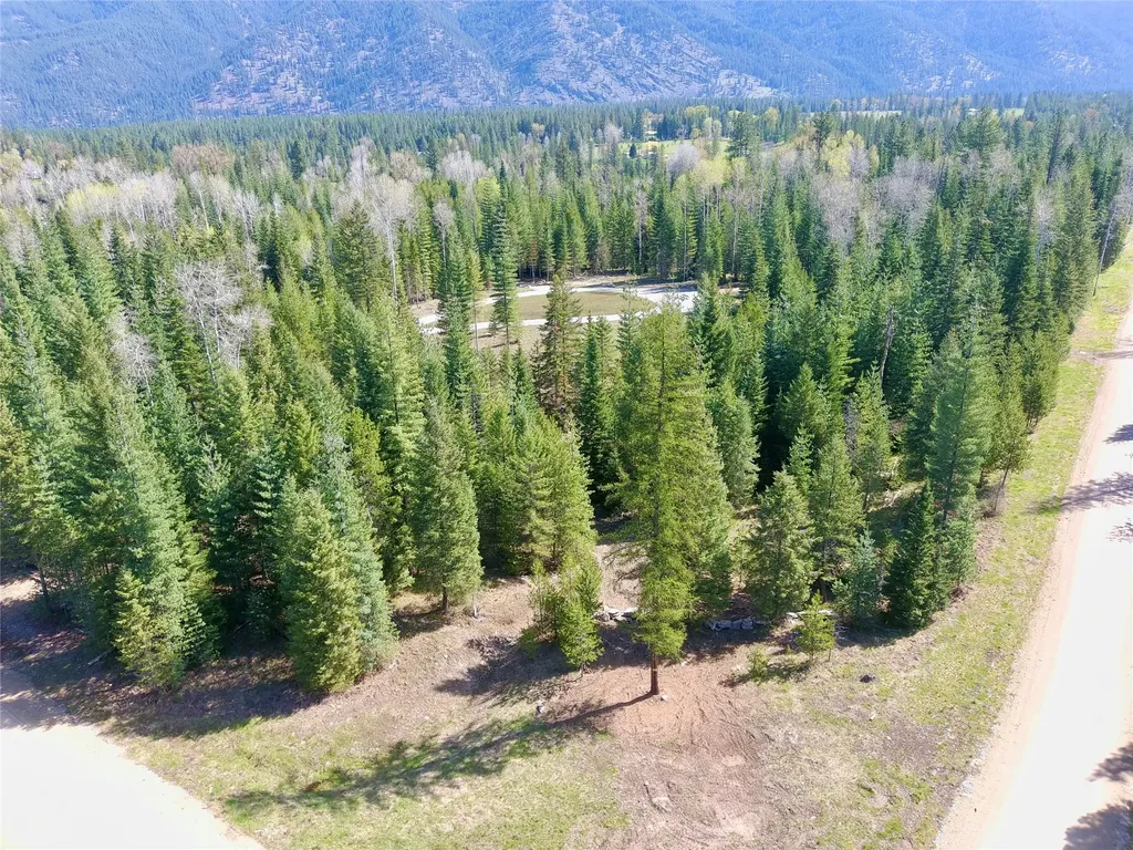 7 Hidden Meadows Way Trout Creek MT 59874
