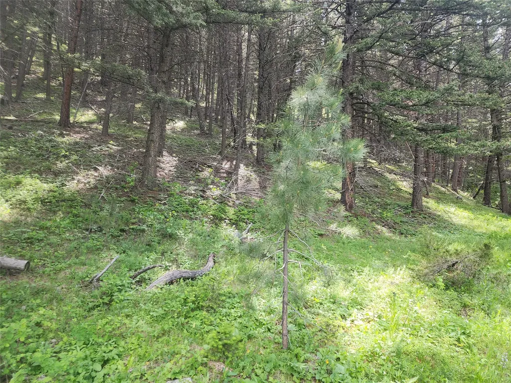 37 Outer Loop Road Cascade MT 59421