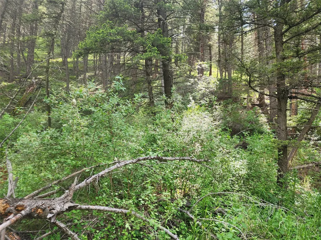 37 Outer Loop Road Cascade MT 59421