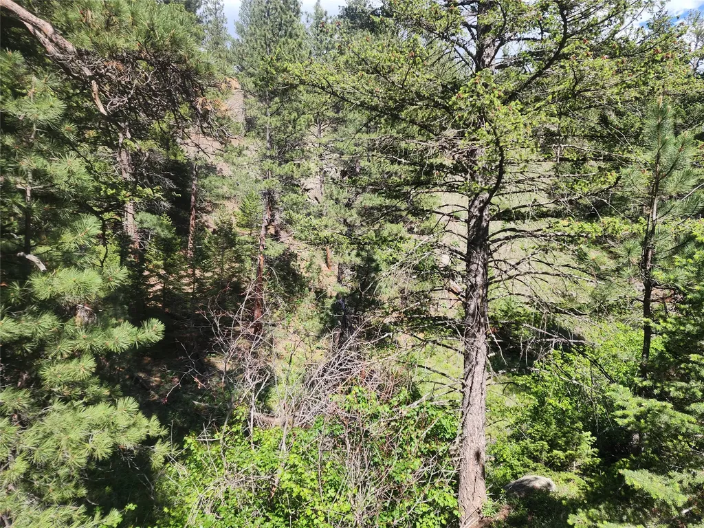 37 Outer Loop Road Cascade MT 59421