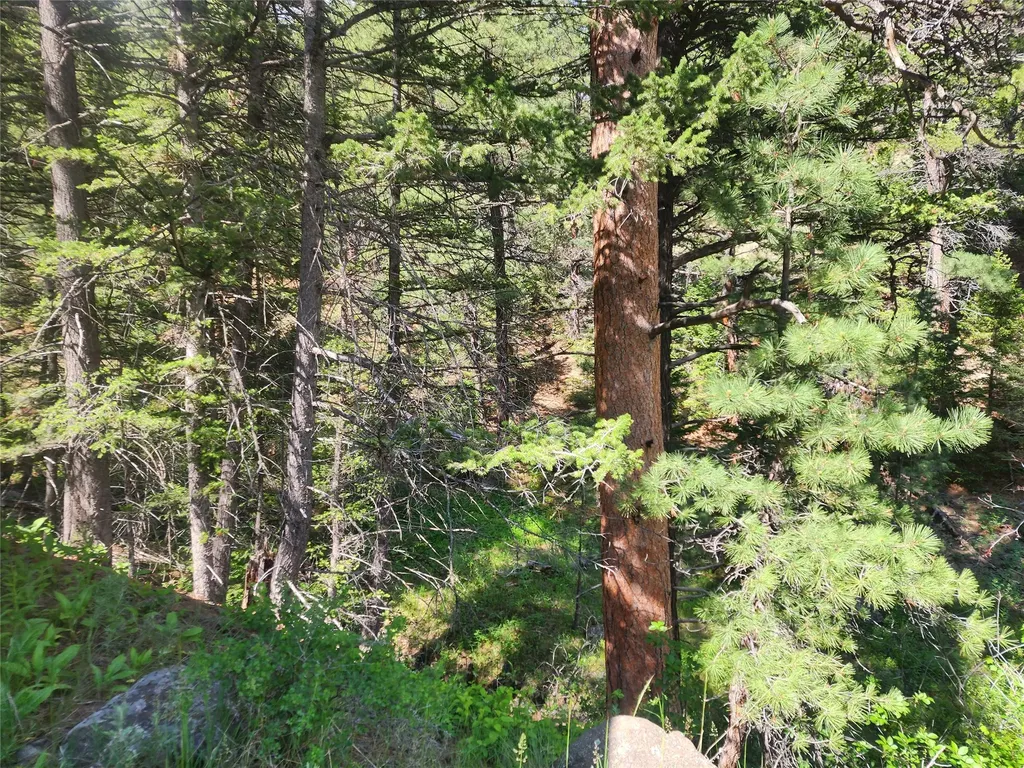 37 Outer Loop Road Cascade MT 59421