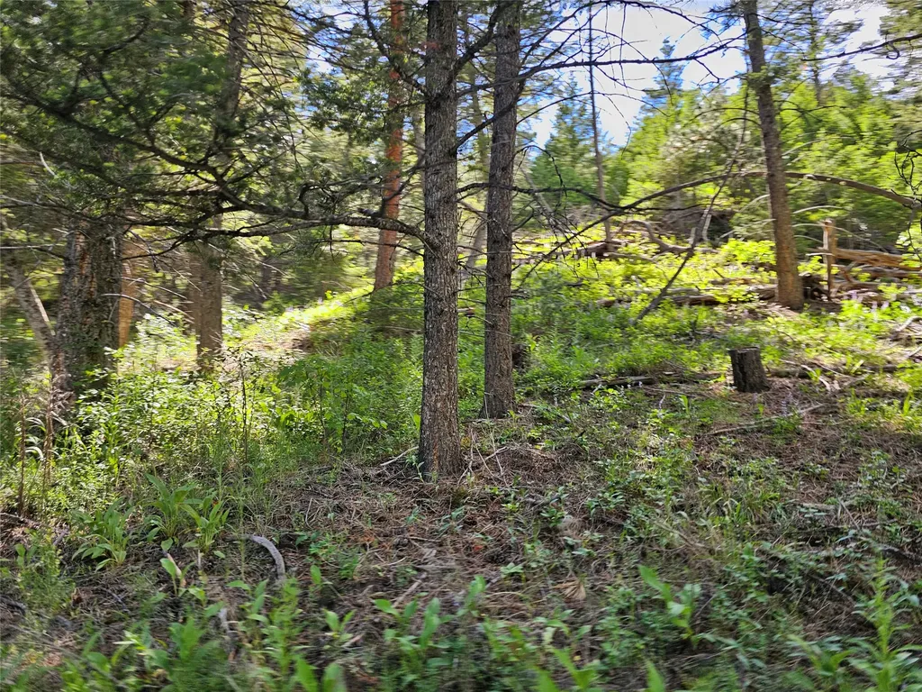 37 Outer Loop Road Cascade MT 59421