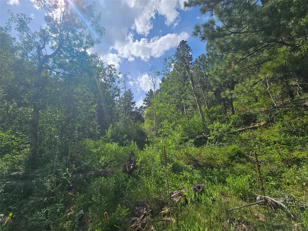 37 Outer Loop Road Cascade MT 59421