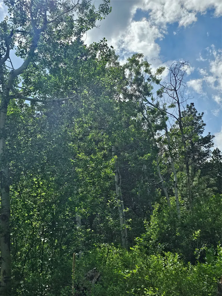 37 Outer Loop Road Cascade MT 59421