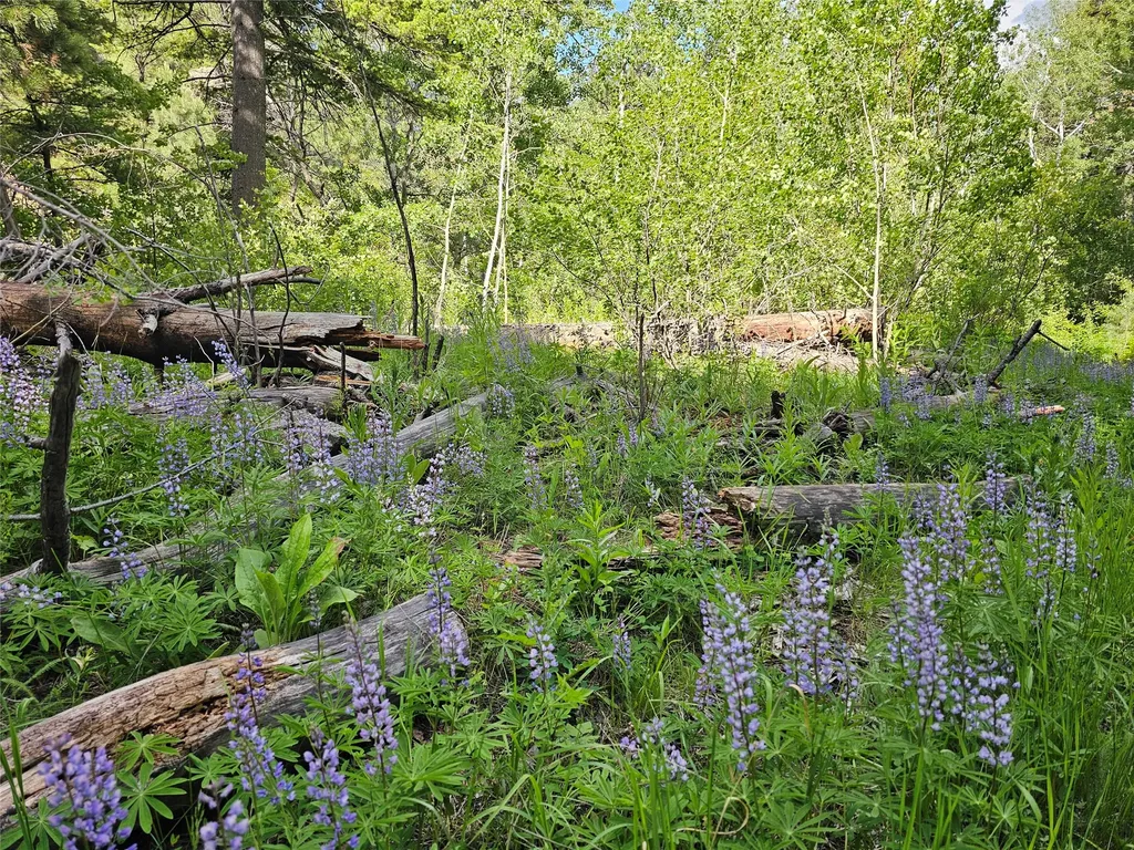 37 Outer Loop Road Cascade MT 59421
