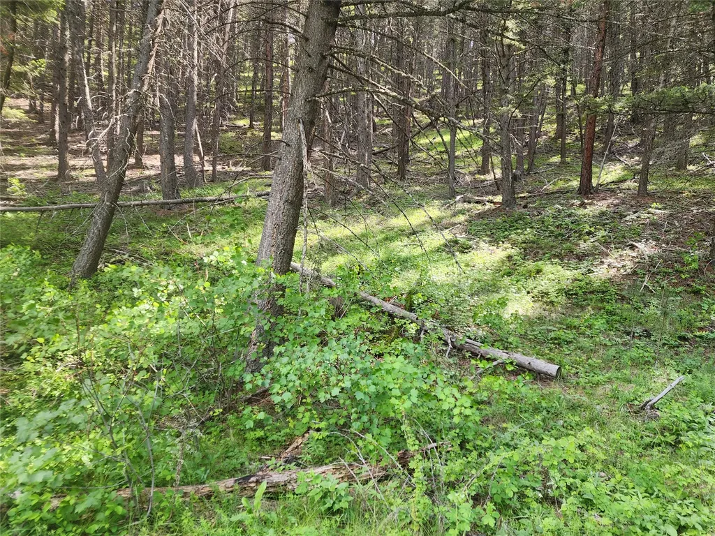 37 Outer Loop Road Cascade MT 59421