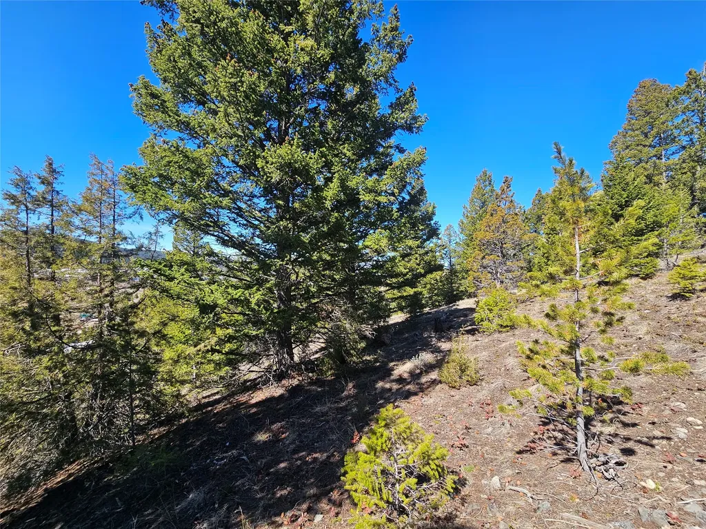 Tract J Shoot The Moon Lane Anaconda MT 59711