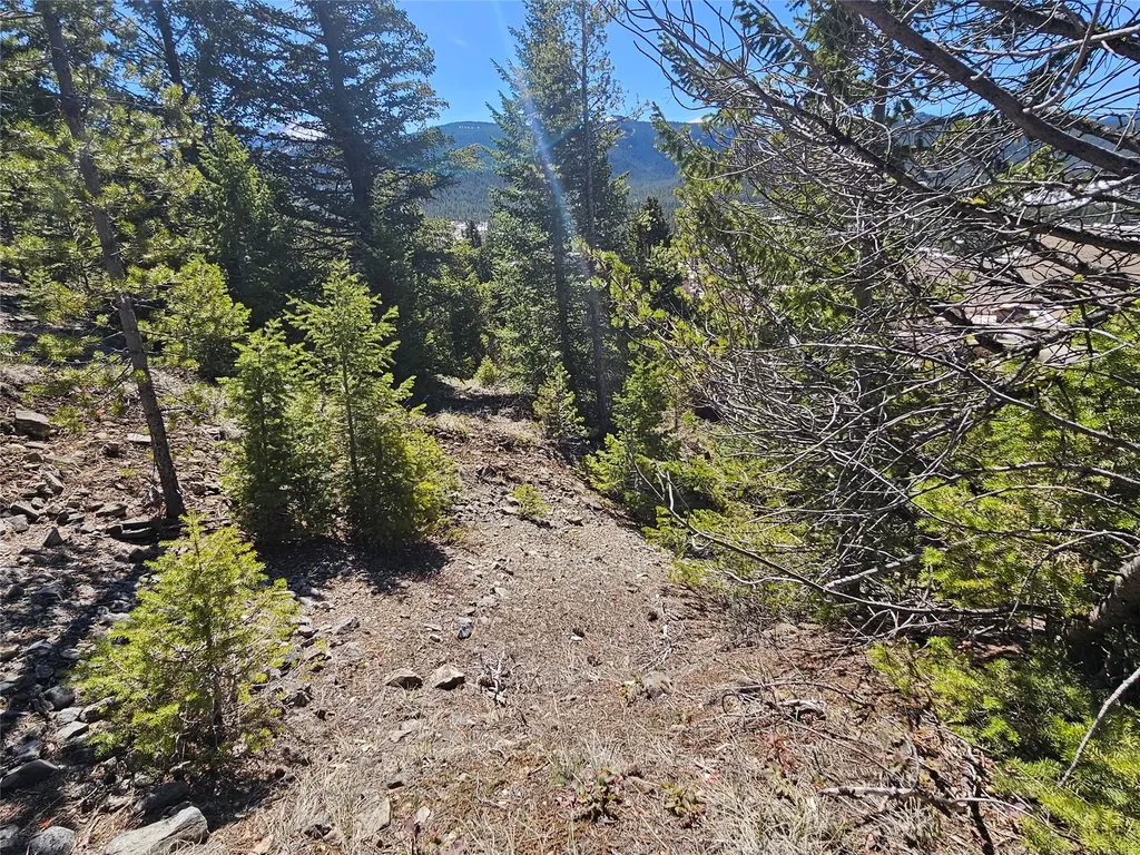Tract J Shoot The Moon Lane Anaconda MT 59711