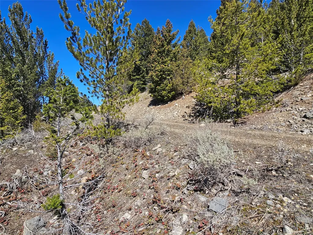 Tract J Shoot The Moon Lane Anaconda MT 59711