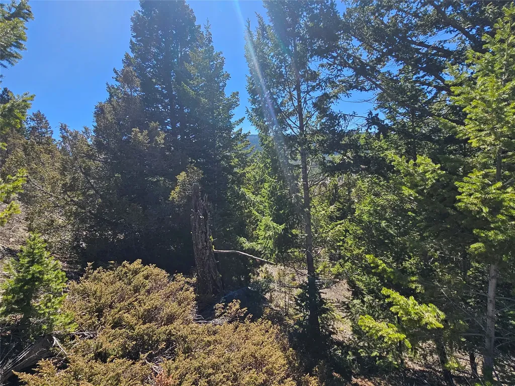 Tract J Shoot The Moon Lane Anaconda MT 59711