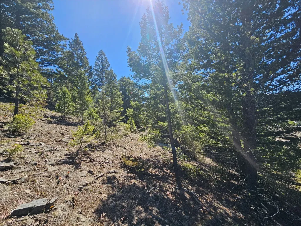 Tract J Shoot The Moon Lane Anaconda MT 59711