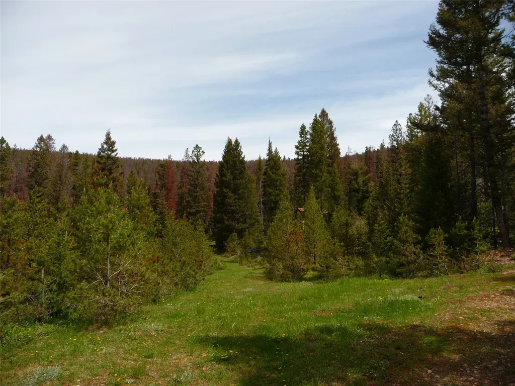263 Wild Hill Lane Lincoln MT 59639