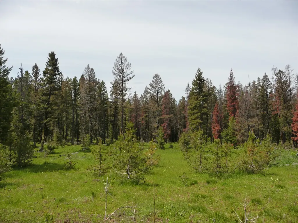 263 Wild Hill Lane Lincoln MT 59639