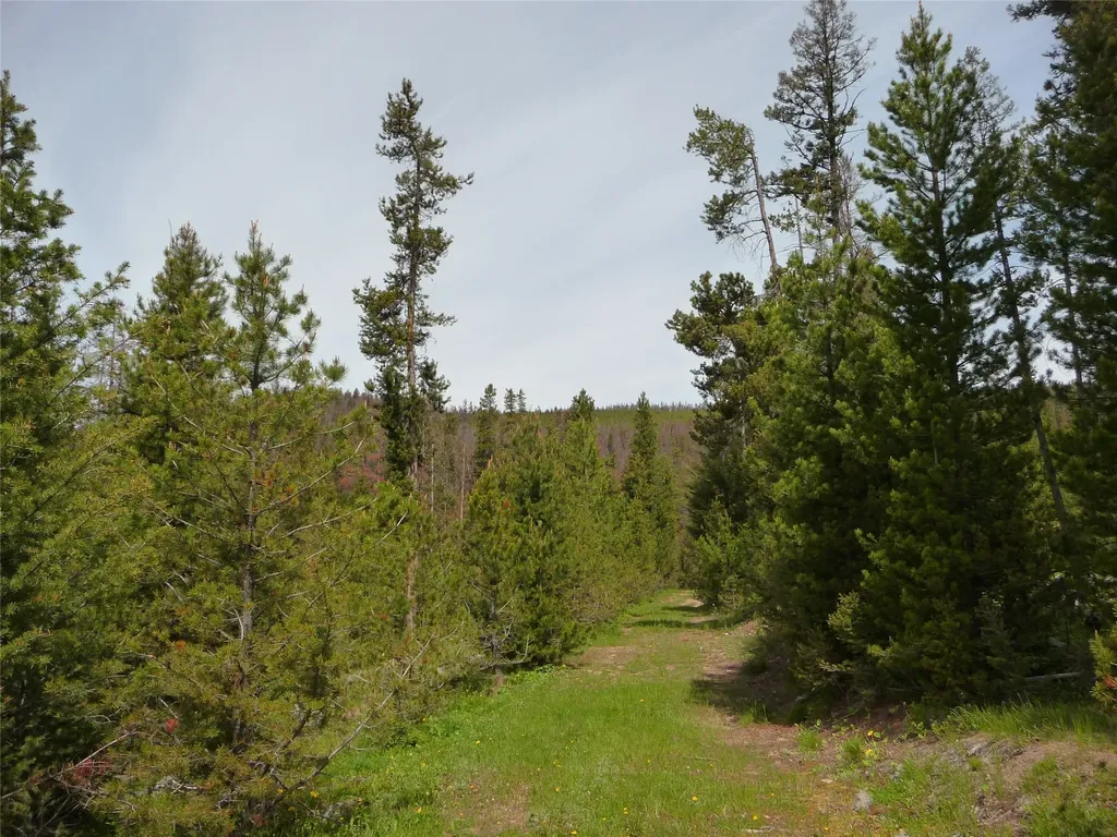 263 Wild Hill Lane Lincoln MT 59639