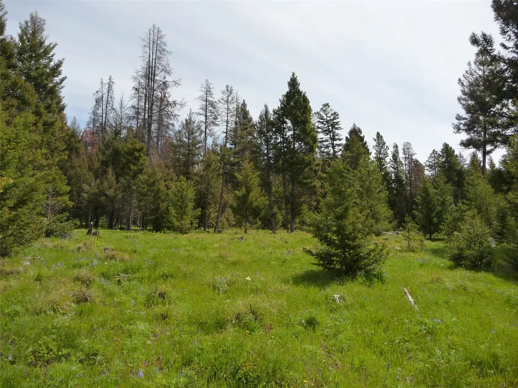 263 Wild Hill Lane Lincoln MT 59639