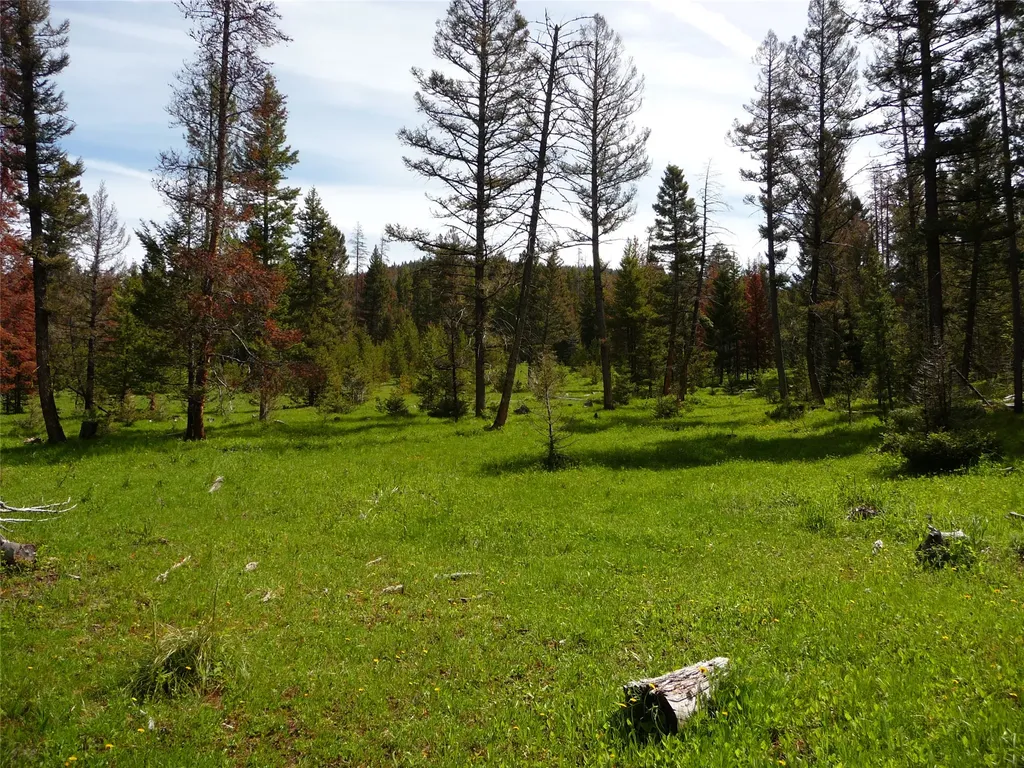 263 Wild Hill Lane Lincoln MT 59639