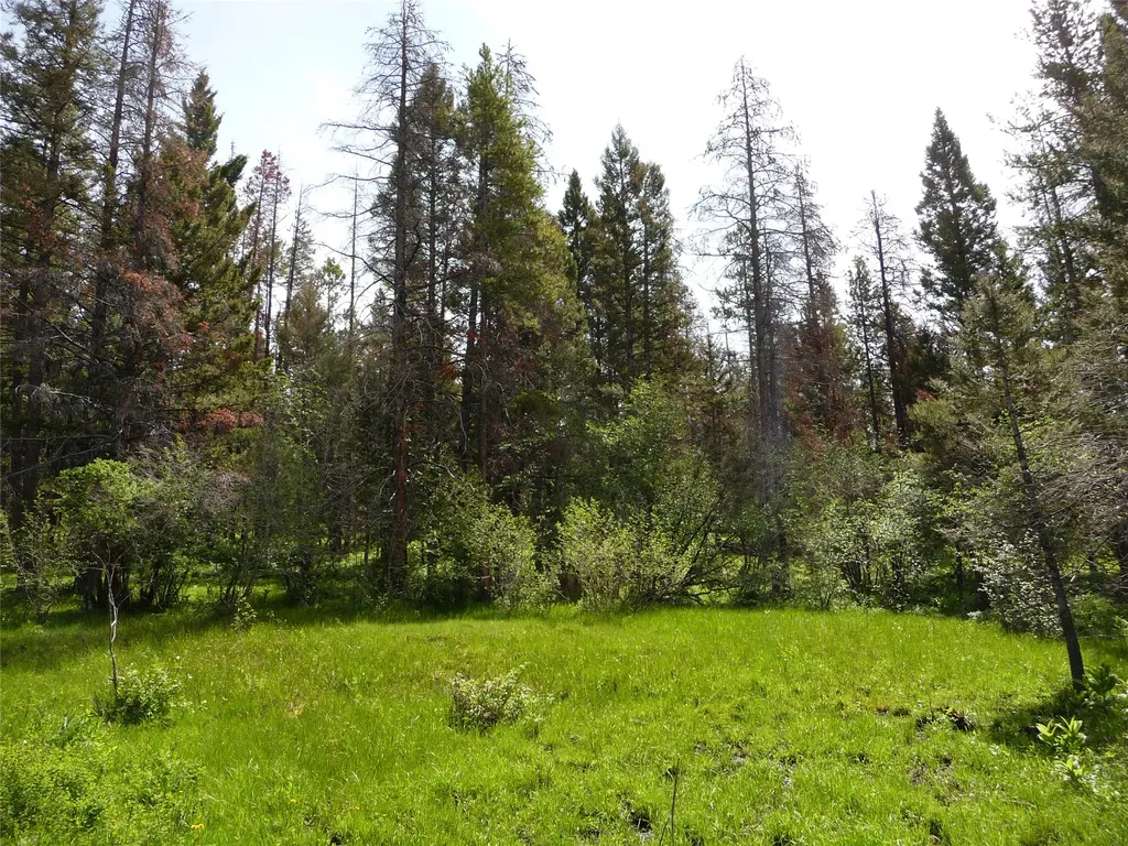 263 Wild Hill Lane Lincoln MT 59639