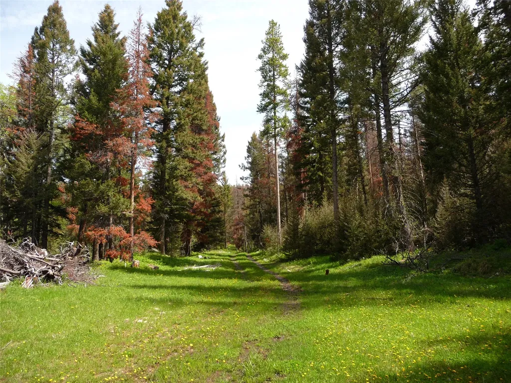 263 Wild Hill Lane Lincoln MT 59639