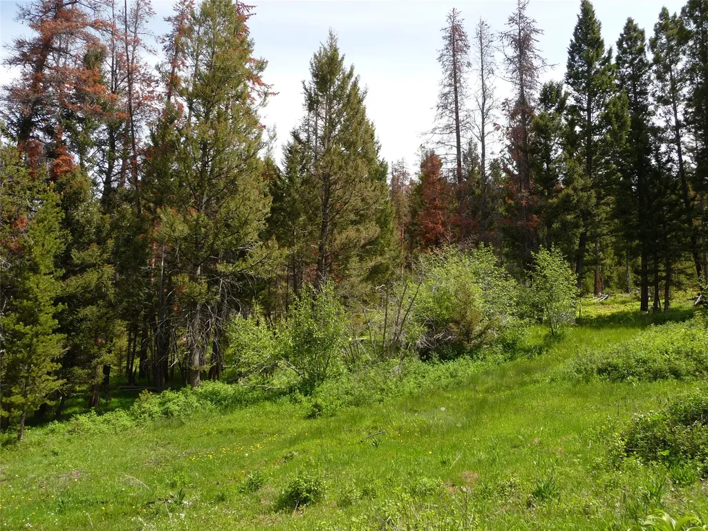 263 Wild Hill Lane Lincoln MT 59639