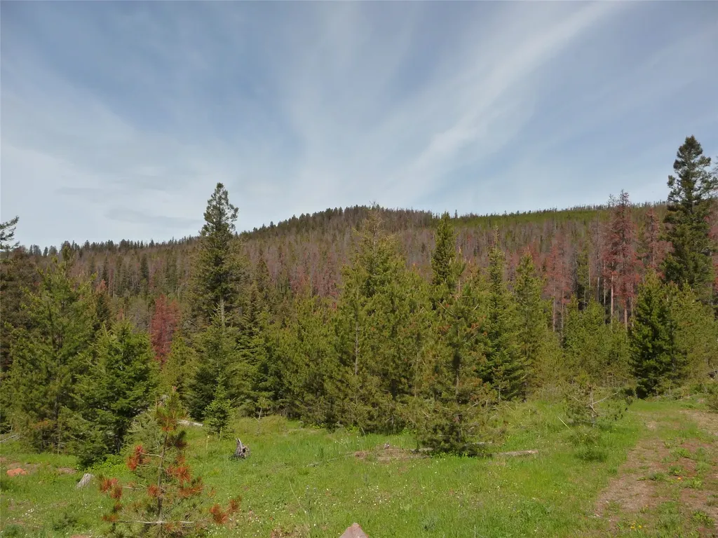263 Wild Hill Lane Lincoln MT 59639