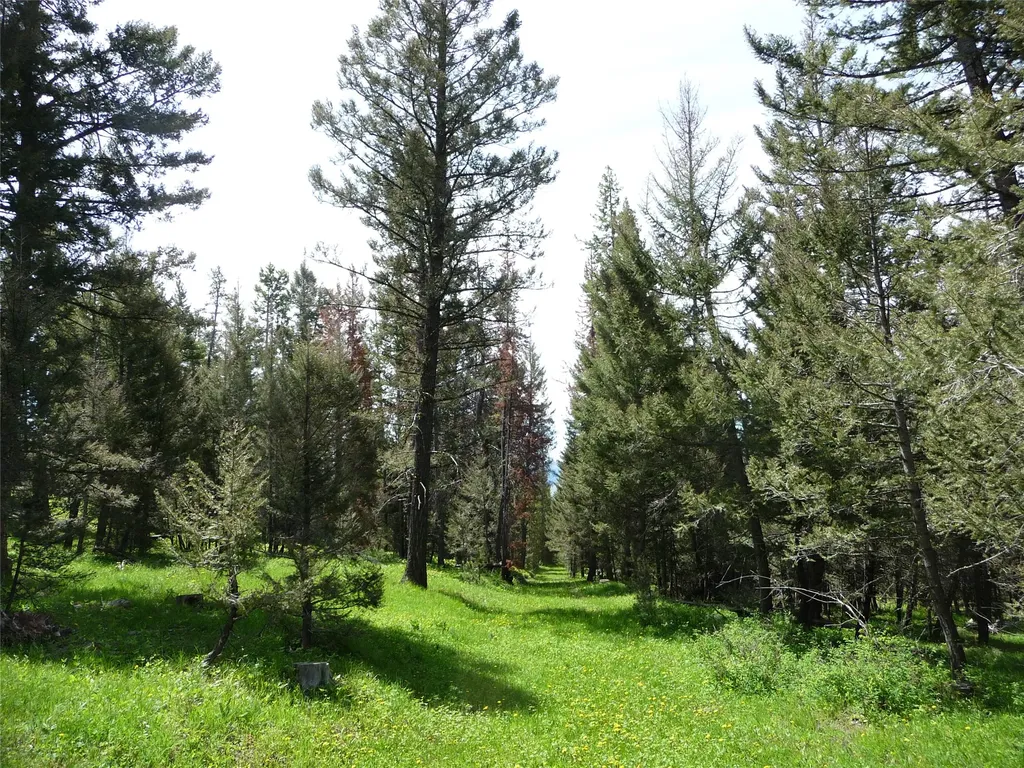 263 Wild Hill Lane Lincoln MT 59639