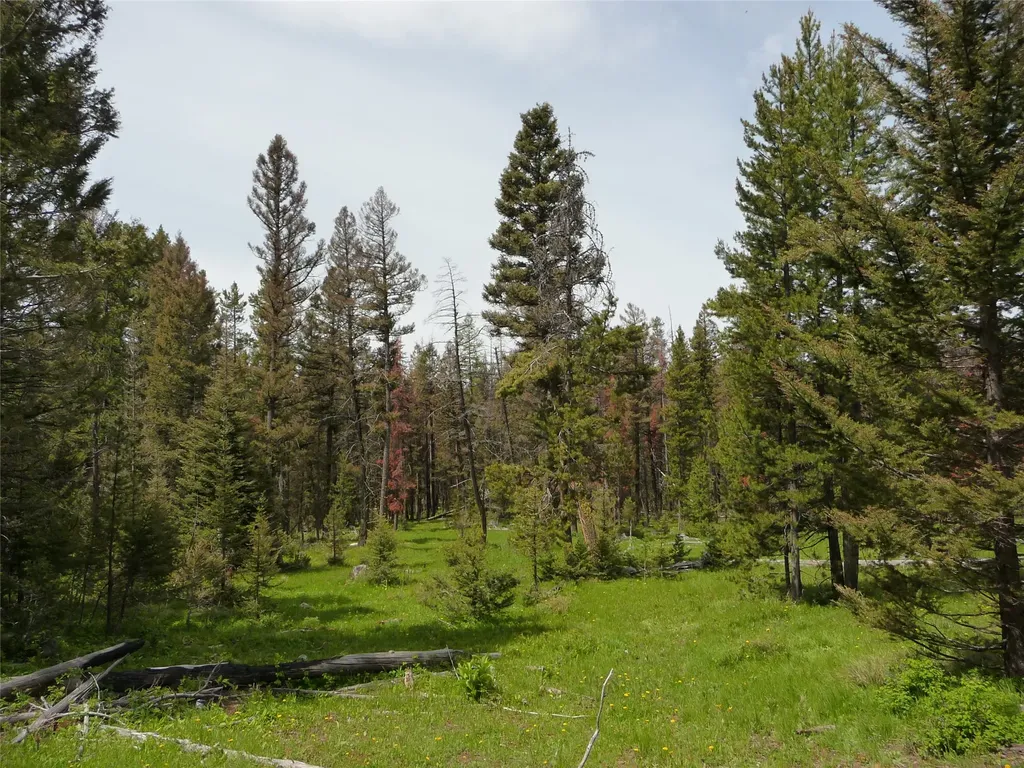 263 Wild Hill Lane Lincoln MT 59639