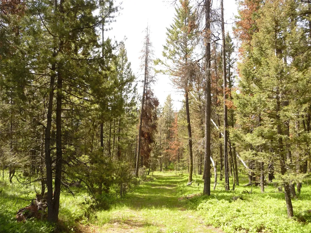 263 Wild Hill Lane Lincoln MT 59639