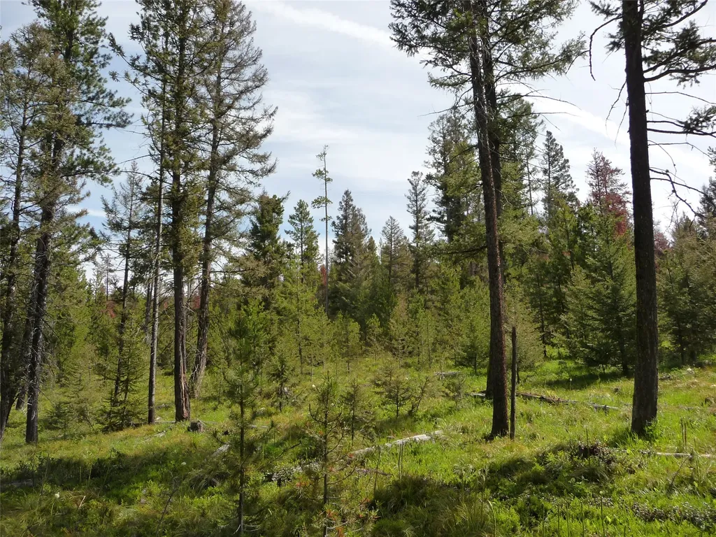 263 Wild Hill Lane Lincoln MT 59639