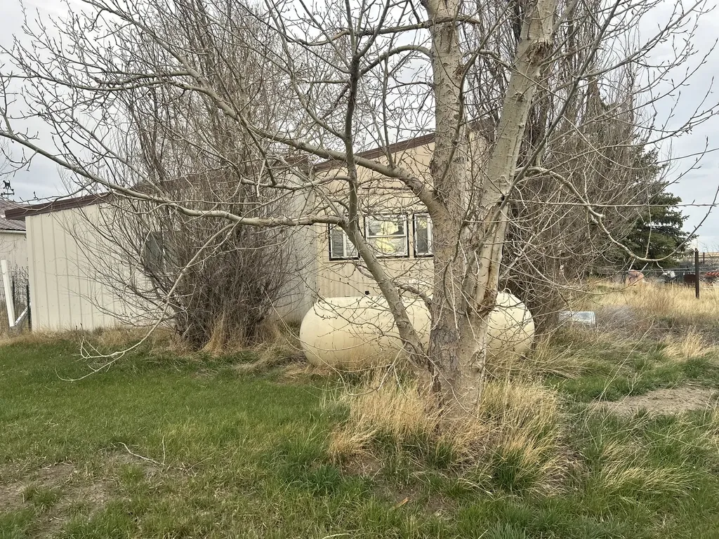 223 1st Avenue NE Brady MT 59416