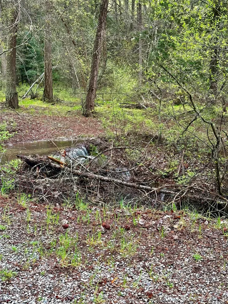 1519 Blue Slide Road Thompson Falls MT 59873