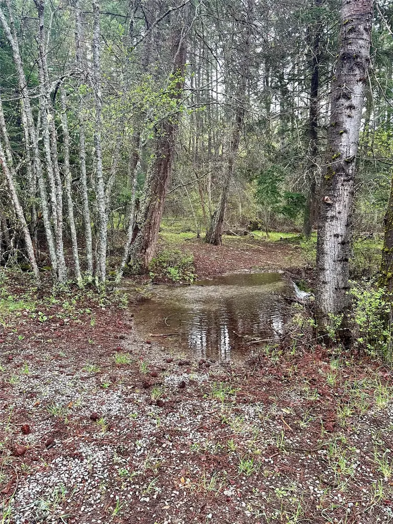 1519 Blue Slide Road Thompson Falls MT 59873