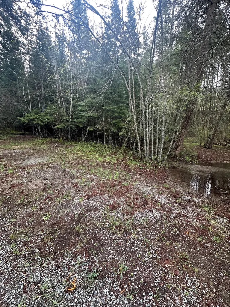 1519 Blue Slide Road Thompson Falls MT 59873