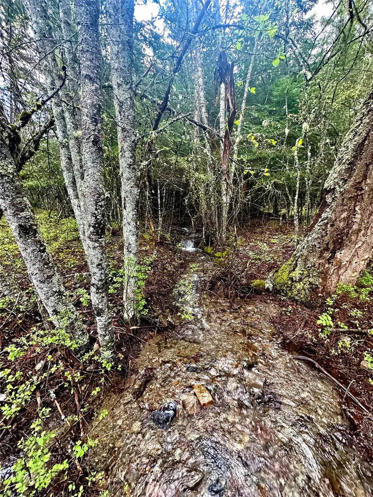 1519 Blue Slide Road Thompson Falls MT 59873