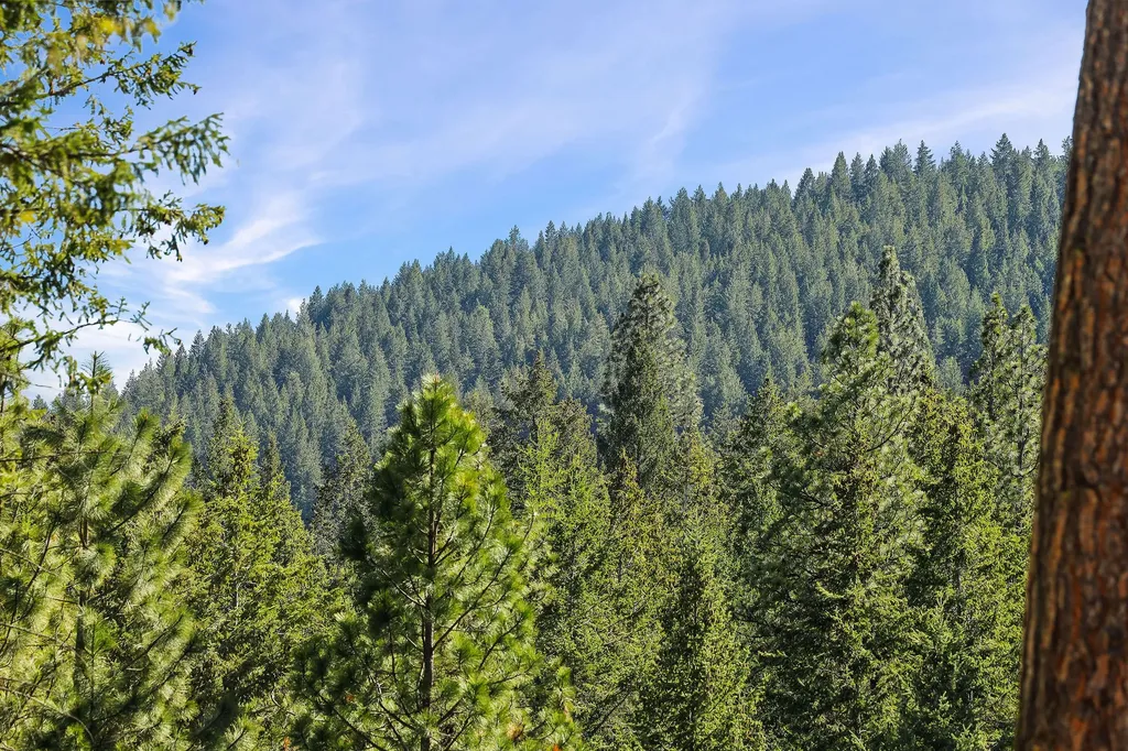 285 Lutheran Camp Road Lakeside MT 59922