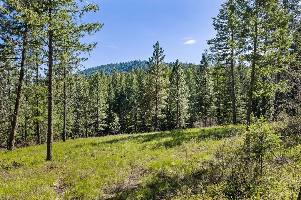 285 Lutheran Camp Road Lakeside MT 59922