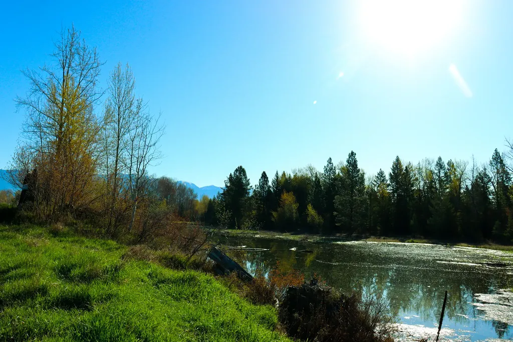 Nhn E Cottonwood Drive Kalispell MT 59901