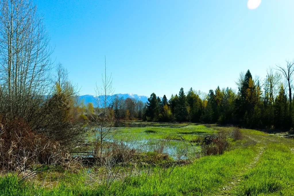 Nhn E Cottonwood Drive Kalispell MT 59901