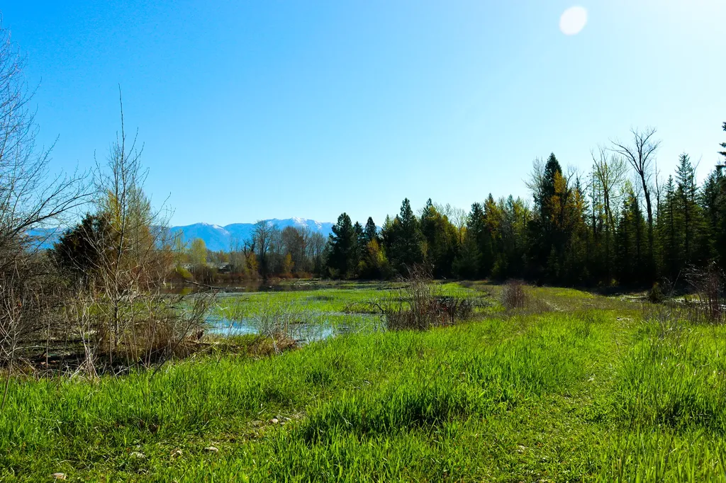 Nhn E Cottonwood Drive Kalispell MT 59901