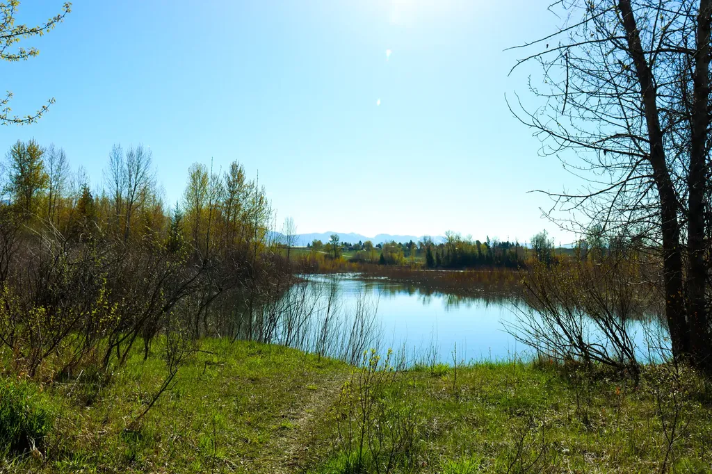 Nhn E Cottonwood Drive Kalispell MT 59901