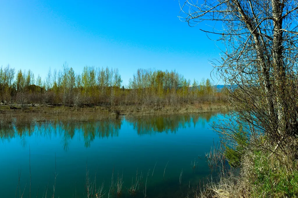 Nhn E Cottonwood Drive Kalispell MT 59901