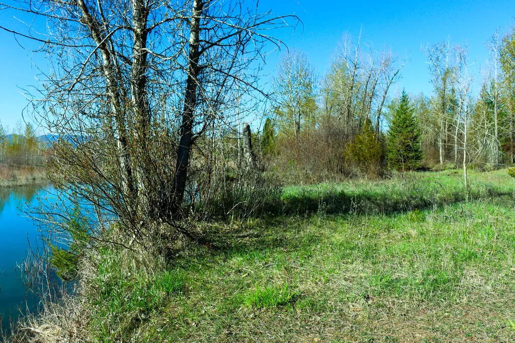 Nhn E Cottonwood Drive Kalispell MT 59901