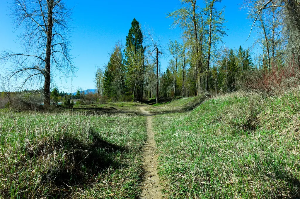 Nhn E Cottonwood Drive Kalispell MT 59901