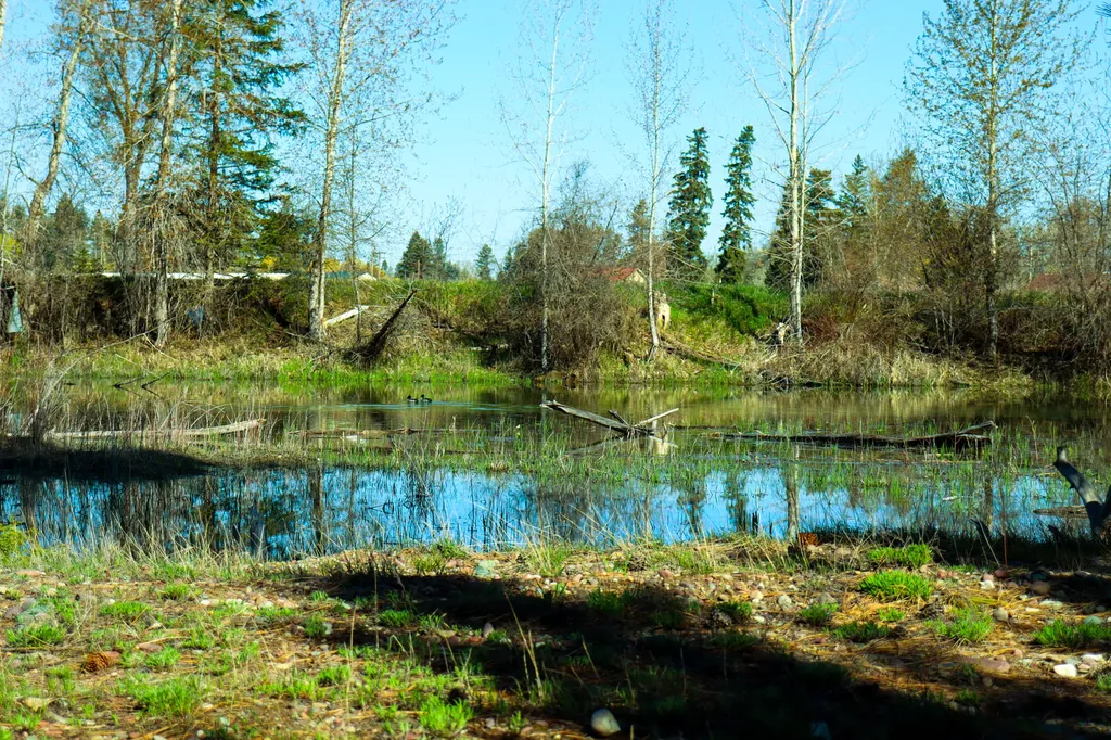 Nhn E Cottonwood Drive Kalispell MT 59901